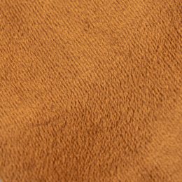Beleza Camel